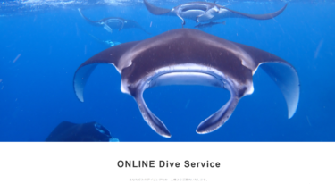 ONLINE Dive Service